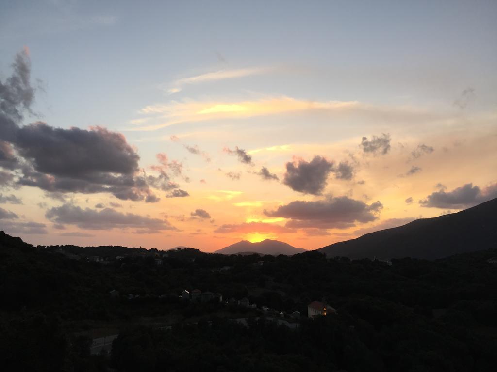 Le Gite Radica Eccica-Suarella  الغرفة الصورة